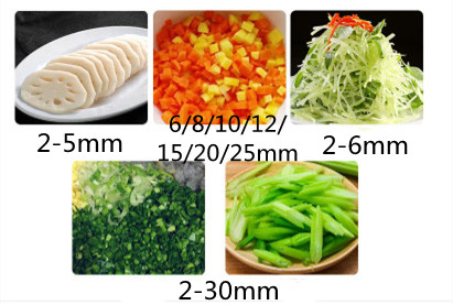 Automatyczna krajalnica do war – Vegetable Chopper recenzja i cena